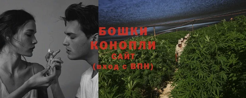 kraken как зайти  Болохово  Шишки марихуана OG Kush 